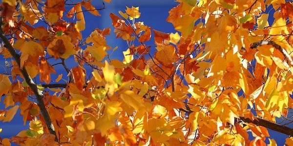 Wetterbericht für Bayern (03.11.2025)