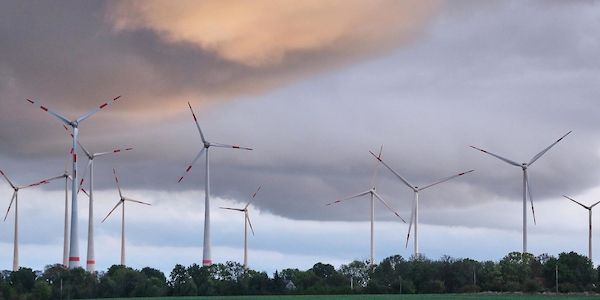 Der Wetterbericht für Berlin und Brandenburg