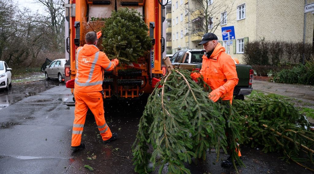 Weihnachtsbäume werden ab 10. Januar in Berlin abgeholt