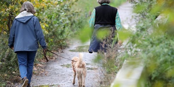 Hamburg erhöht Tourismus- und Hundesteuer ab 2027