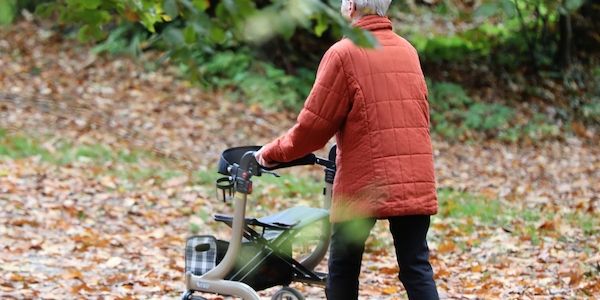 Rente: Linke warnt vor drastischem Anstieg der Altersarmut