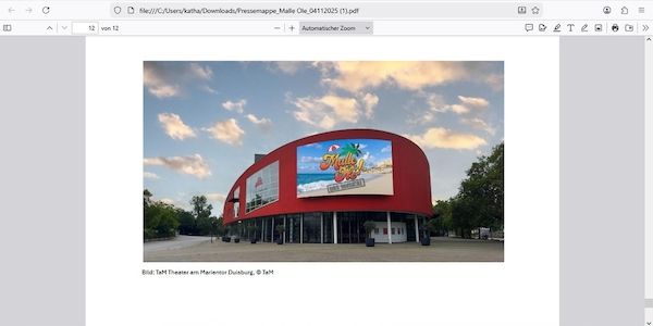 Enge Kooperation: Ballermann Radio feiert „Malle Olé! – Das Musical, das ballert“-Premiere