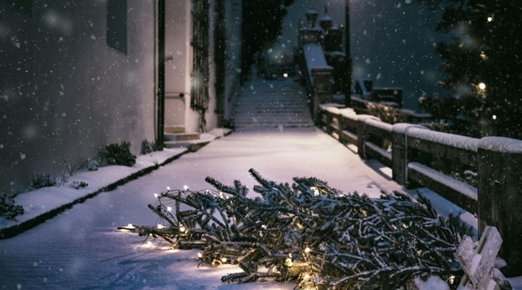 ARAG: Wie ein Weihnachtsbaum korrekt und stressfrei entsorgt wird