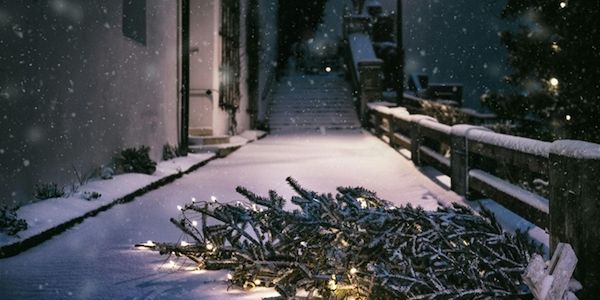 ARAG: Wie ein Weihnachtsbaum korrekt und stressfrei entsorgt wird