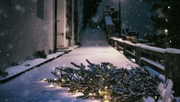 ARAG: Wie ein Weihnachtsbaum korrekt und stressfrei entsorgt wird