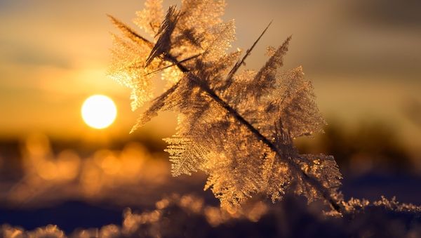 Polizei warnt vor Schlittschuhfahrten auf Brandenburger Seen