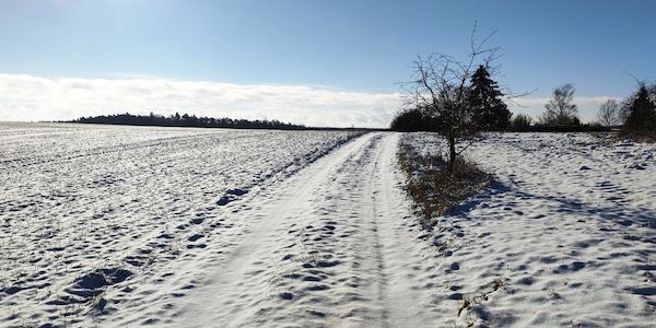 Wetterbericht für Schleswig-Holstein/Hamburg (08.01.2026)