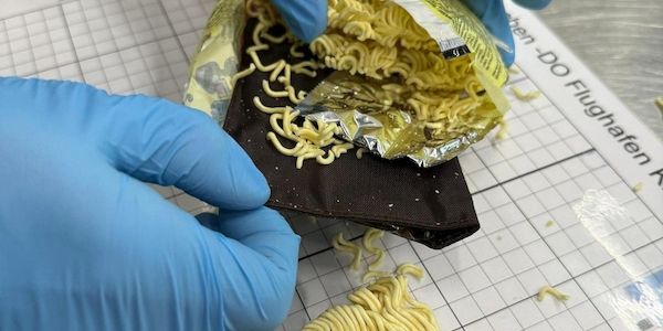 Zoll entdeckt Goldschmuck in Instantnudeln am Münchner Flughafen