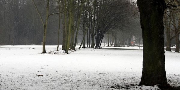 Feuerwehrverband warnt nach Wintereinbruch vor Waldspaziergängen