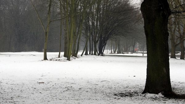 Feuerwehrverband warnt nach Wintereinbruch vor Waldspaziergängen