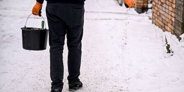 Wie sich Berlin und Brandenburg aufs Sturmtief vorbereiten