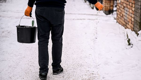 Wie sich Berlin und Brandenburg aufs Sturmtief vorbereiten