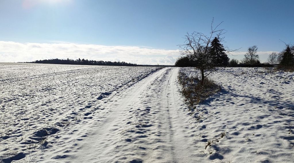 Kälteeinbruch: Verbände erwarten positive Folgen für Landwirtschaft