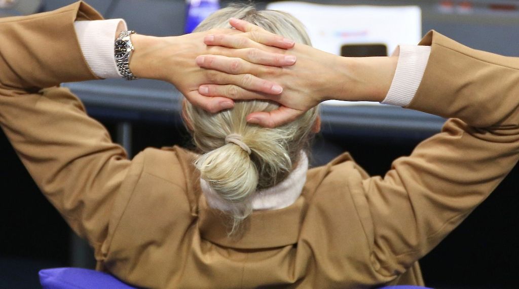 AfD-Chefin Weidel fordert im Grönland-Konflikt Gelassenheit