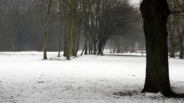 Wetterbericht für Bayern (11.01.2026)