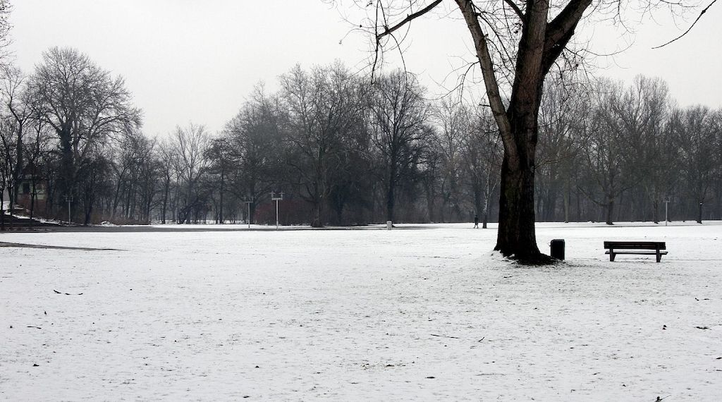 Wetterbericht für Niedersachsen/Bremen (12.01.2026)