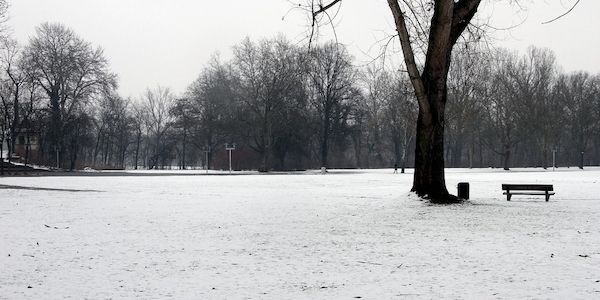 Wetterbericht für Niedersachsen/Bremen (12.01.2026)