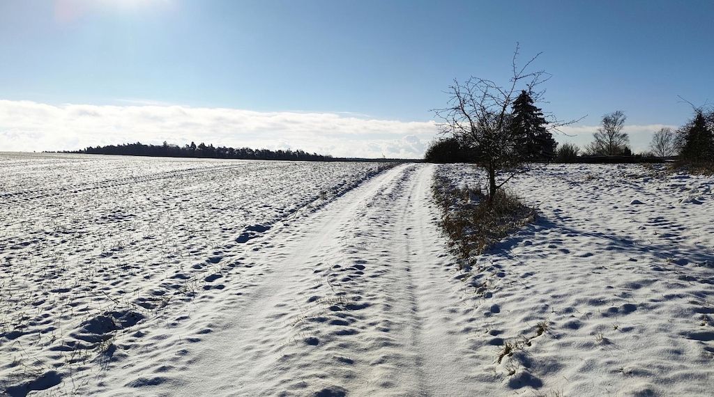 Wetterbericht für Nordrhein-Westfalen (12.01.2026)