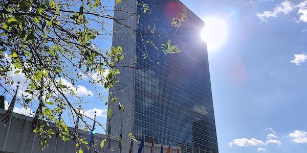 Völkerrechtler ruft UN-Sicherheitsrat zu Befassung mit Iran auf