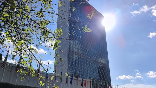 Völkerrechtler ruft UN-Sicherheitsrat zu Befassung mit Iran auf