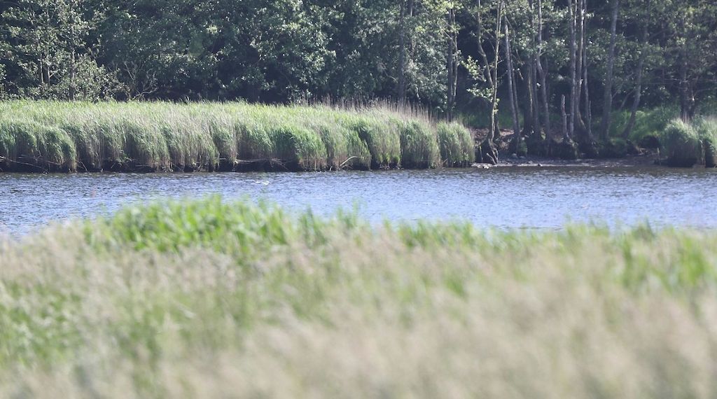 Hamburger Fraktionen fordern bessere Luftqualität im Ostseeraum