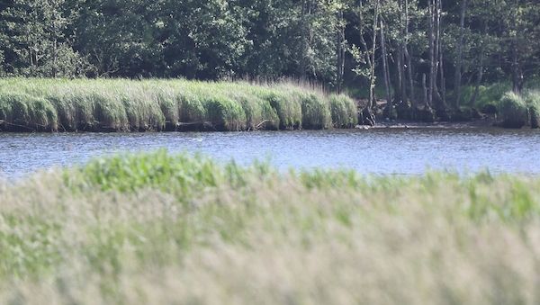 Hamburger Fraktionen fordern bessere Luftqualität im Ostseeraum