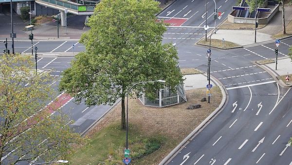 Siedlungs- und Verkehrsfläche wächst wieder etwas langsamer