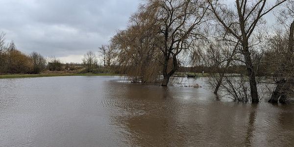 Naturkatastrophenschäden auch 2025 trotz Rückgang sehr hoch