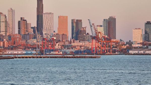 Grüne fordern entschlossene Antwort auf Trumps Zolldrohung