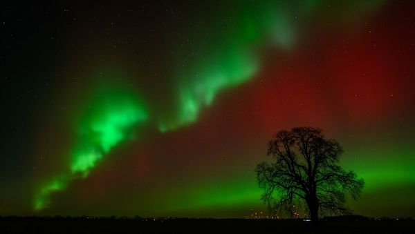 Polarlichter leuchten über Himmel in Brandenburg