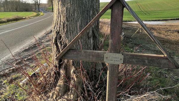 Mehr Tote und Verletzte bei Straßenverkehrsunfällen im November