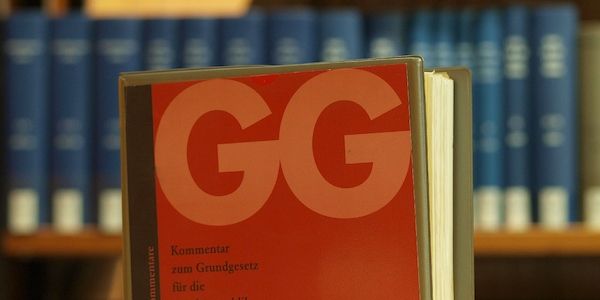 Sozialstaatsreform: Linke offen für Grundgesetzänderungen