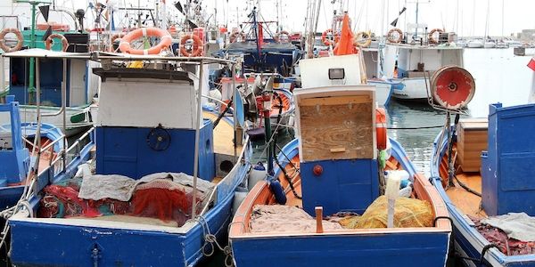 NRW führt digitalen Fischereischein ein