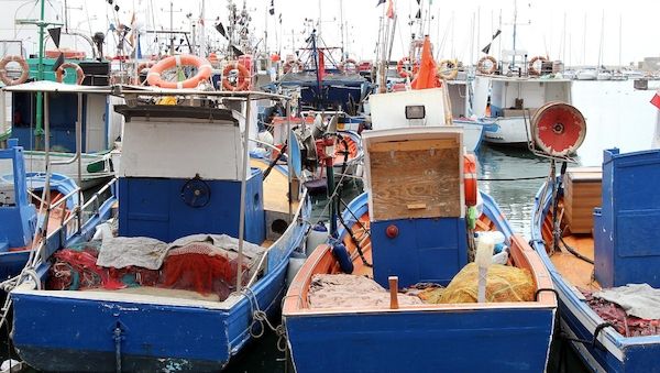 NRW führt digitalen Fischereischein ein