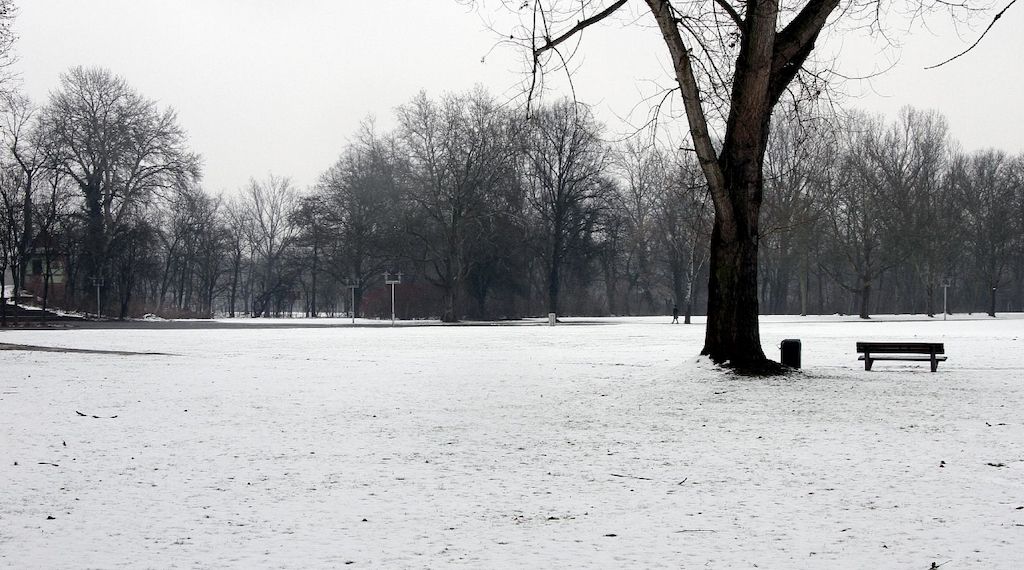 Wetterbericht für München und ganz Bayern (02.02.2026)