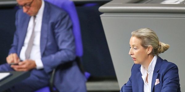 Union und AfD auch bei Insa wieder gleichauf