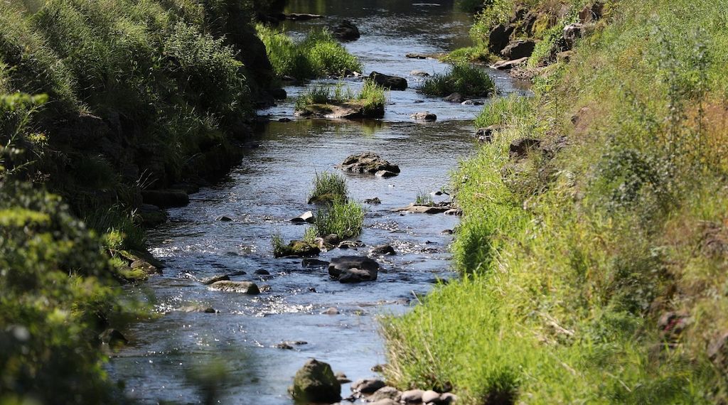 Umweltministerium startet Renaturierungsprogramm für Flussauen