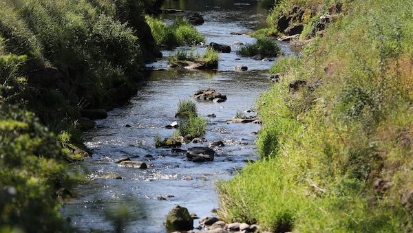 Umweltministerium startet Renaturierungsprogramm für Flussauen