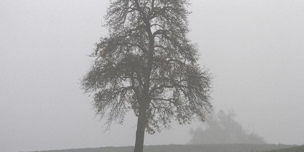 Wetterbericht für Baden-Württemberg (08.02.2026)