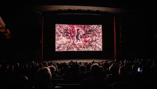 Vorverkauf zur Berlinale: Wie man an Tickets kommt