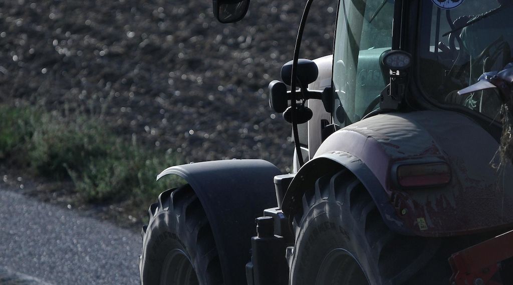 Strauchbeerenernte in NRW verfehlt knapp Rekord