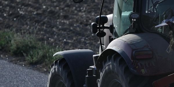 Strauchbeerenernte in NRW verfehlt knapp Rekord