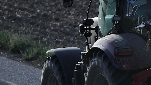 Strauchbeerenernte in NRW verfehlt knapp Rekord