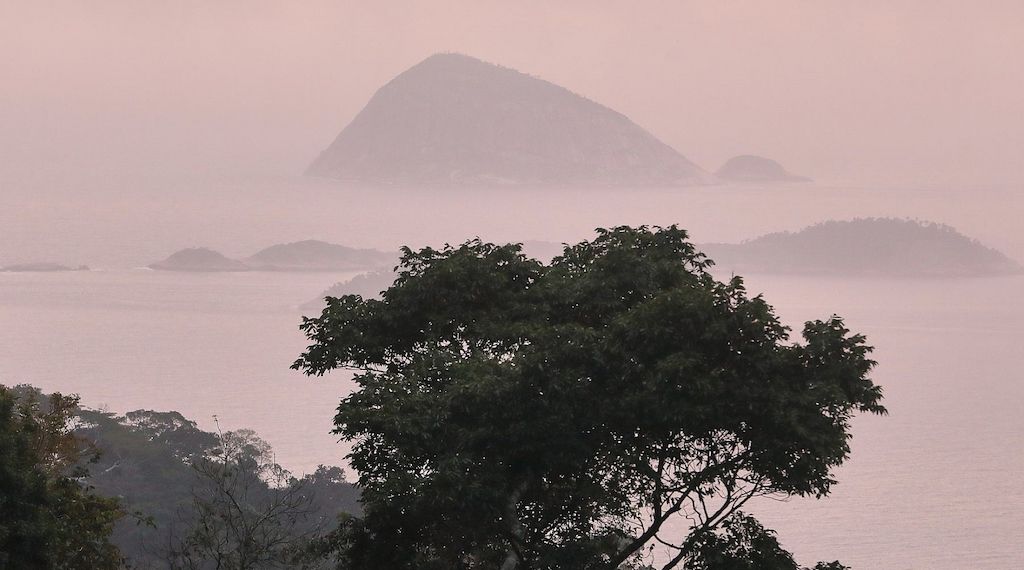 IPBES: Unternehmen gefährden durch Naturzerstörung eigene Zukunft
