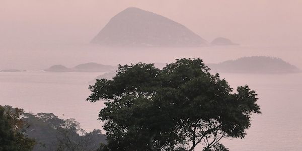 IPBES: Unternehmen gefährden durch Naturzerstörung eigene Zukunft