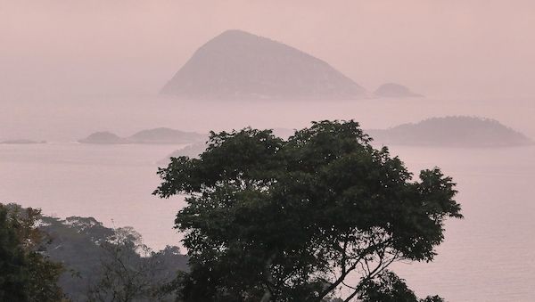 IPBES: Unternehmen gefährden durch Naturzerstörung eigene Zukunft