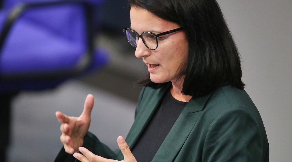 Epstein: Grüne fordern Bundesregierung zu Nachforschungen auf