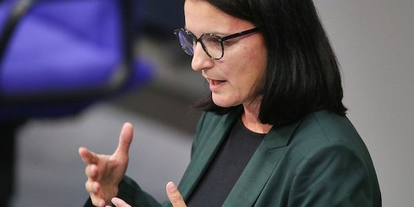 Epstein: Grüne fordern Bundesregierung zu Nachforschungen auf