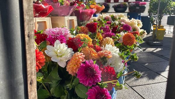 Preise für Geschenke zum Valentinstag stiegen 2025 deutlich