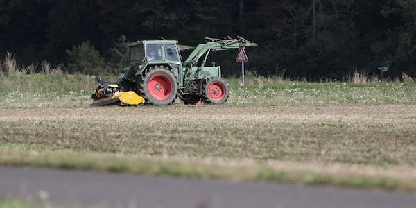 Landwirtschaftliche Erzeugerpreise im Dezember deutlich gesunken